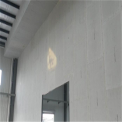 华莹宁波ALC板|EPS加气板隔墙与混凝土整浇联接的实验研讨